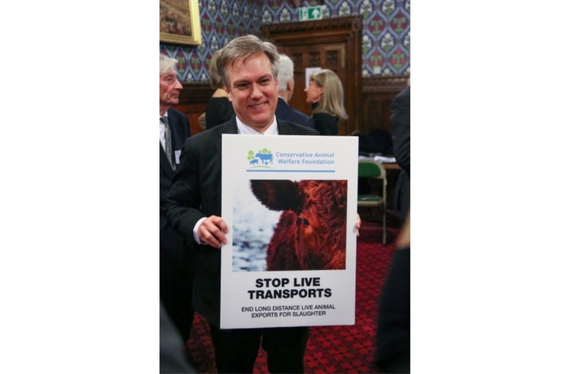 Henry Smith MP at a Conservative Animal Welfare Foundation event which called for an end to live animal exports, January 2018